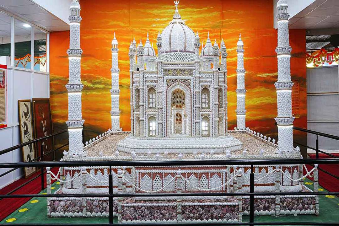 Guinness World Record Sea Shell Art Museum (August 2024) Timings